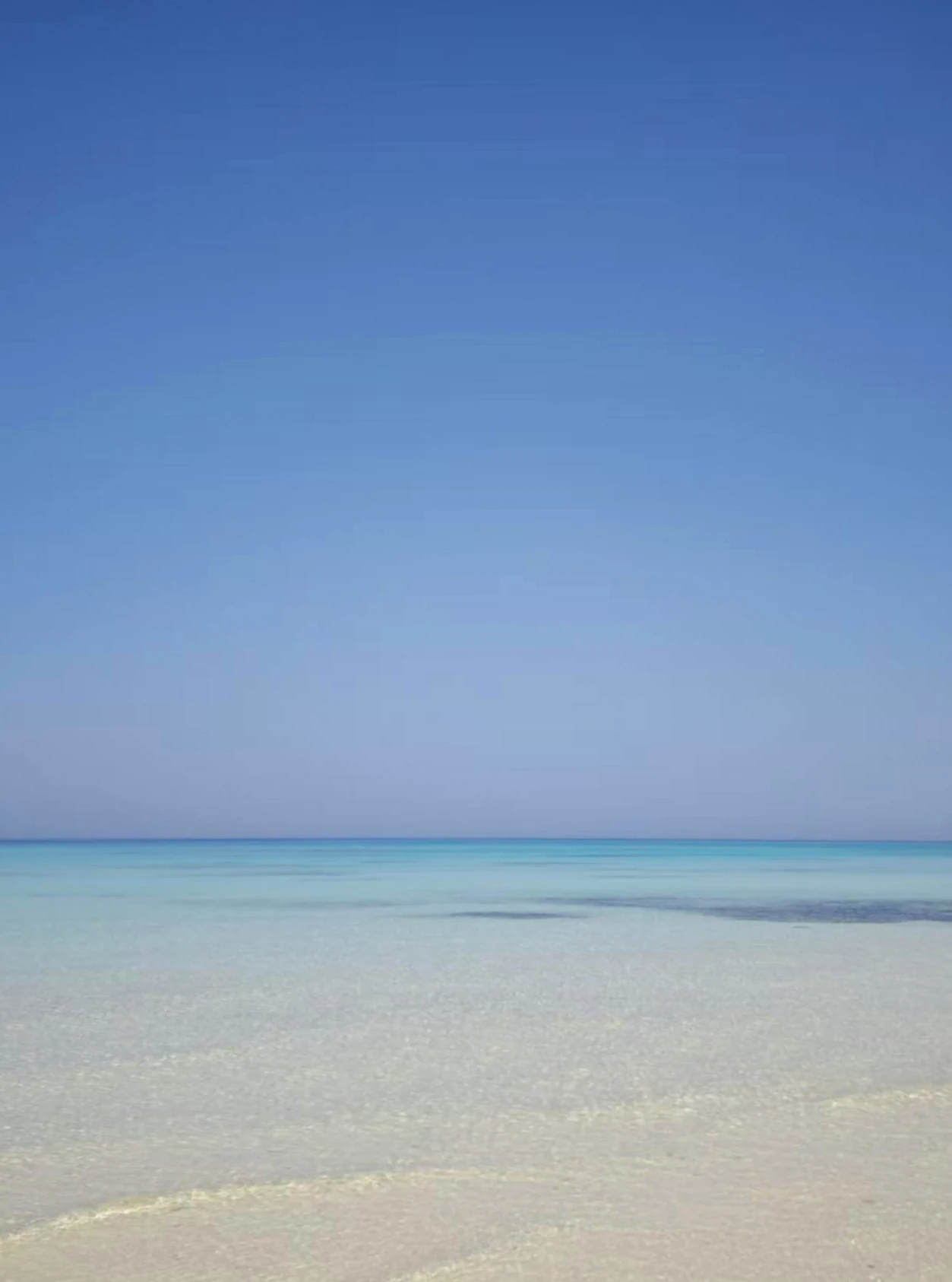 浅海留白